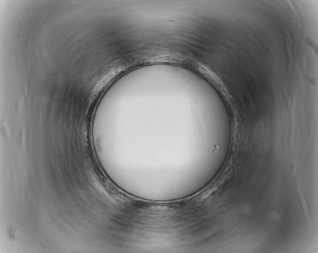 X0000102000298200807180854