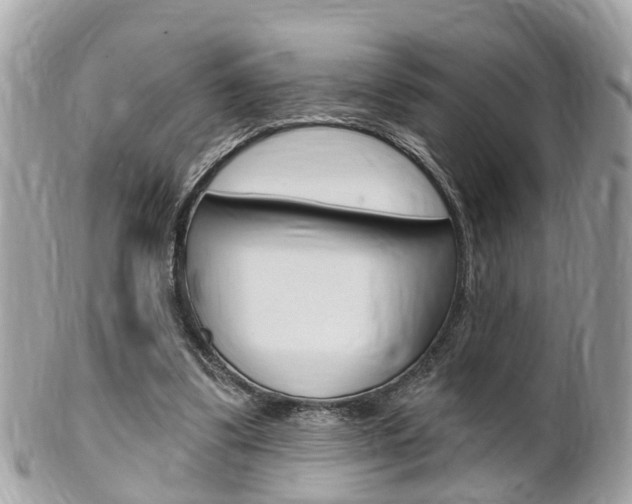 X0000102000299200807180854