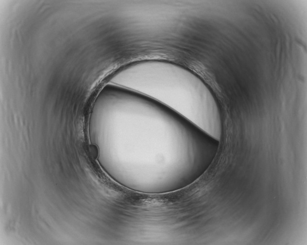 X0000102000300200807180854