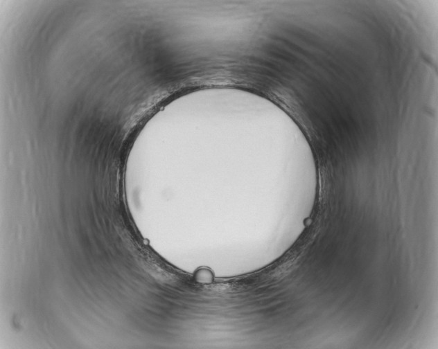 X0000102000301200807180854