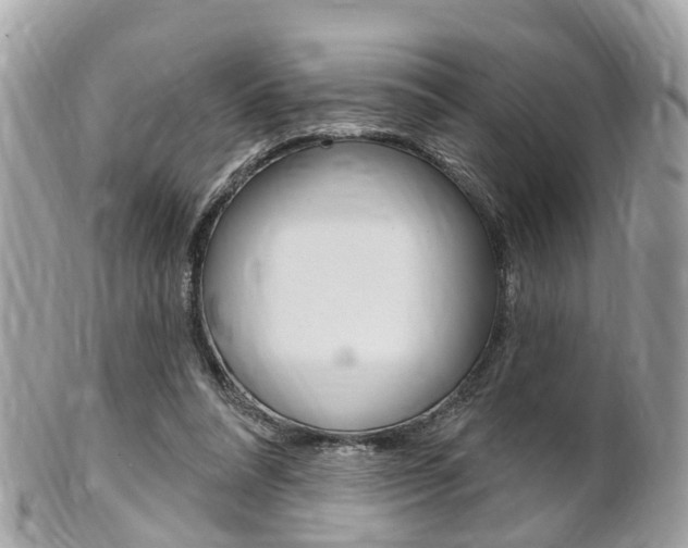 X0000102000304200807180854