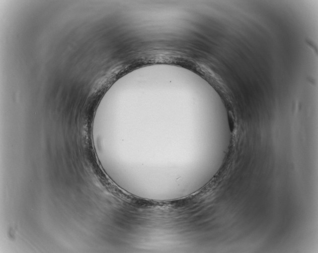 X0000102000306200807180854