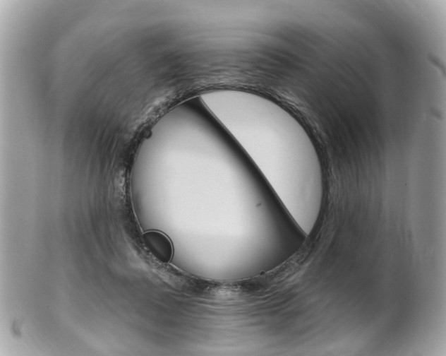 X0000102000308200807180854