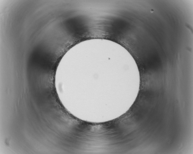 X0000102000309200807180854