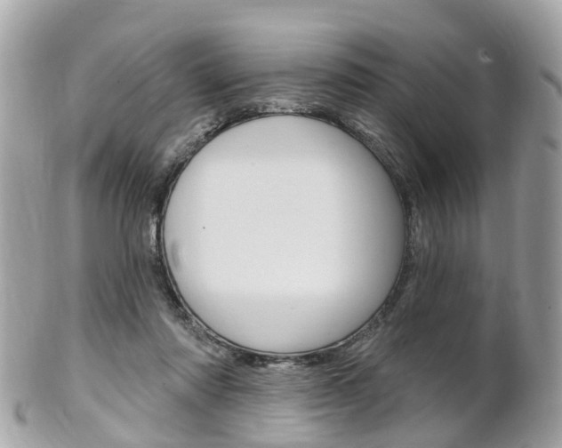 X0000102000310200807180854