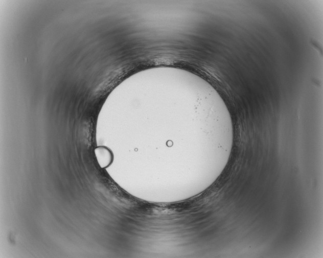 X0000102000311200807180854