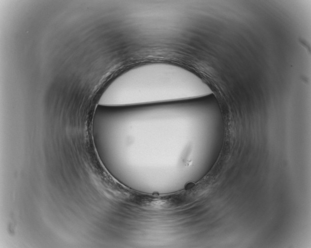 X0000102000312200807180854