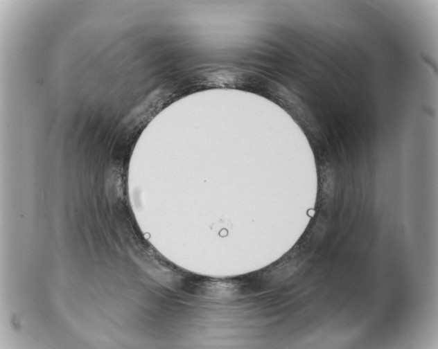 X0000102000313200807180854