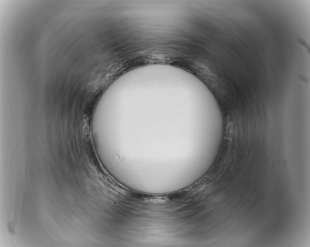 X0000102000318200807180854