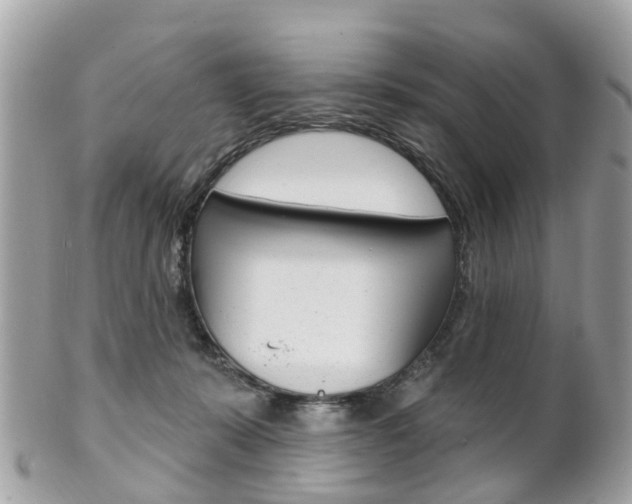 X0000102000319200807180854