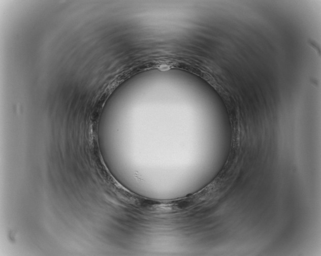 X0000102000320200807180854