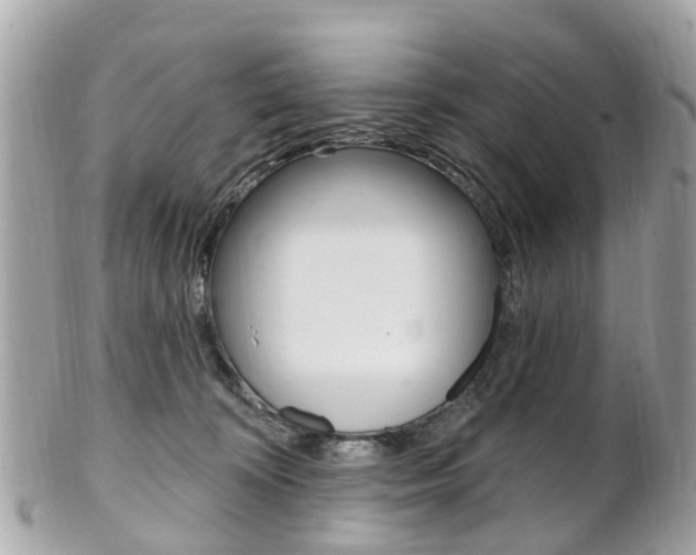 X0000102000324200807180854