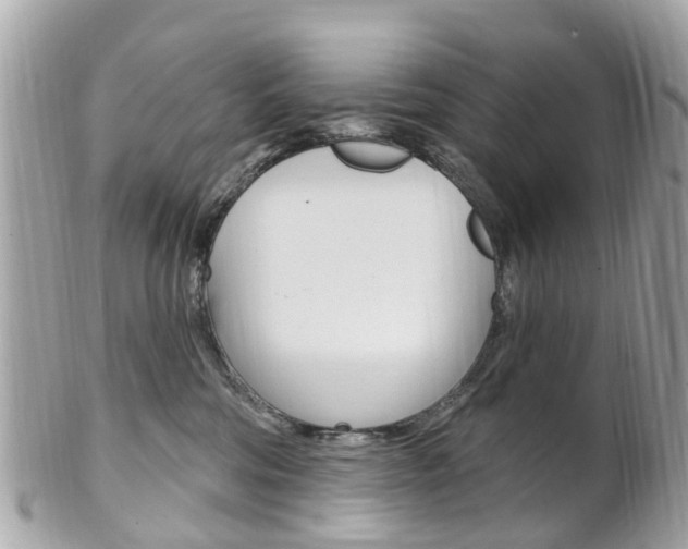 X0000102000330200807180854