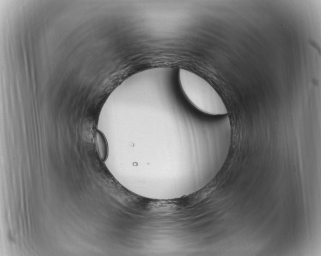 X0000102000331200807180854