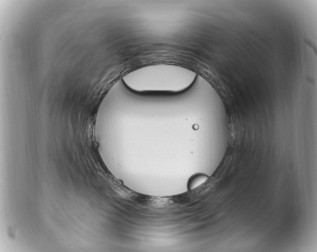 X0000102000333200807180854