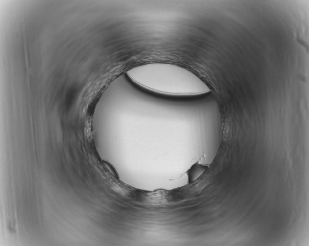 X0000102000335200807180854