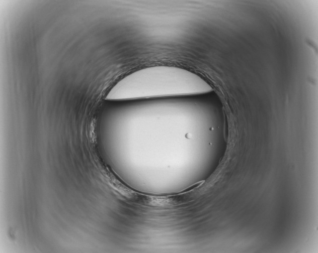 X0000102000336200807180854