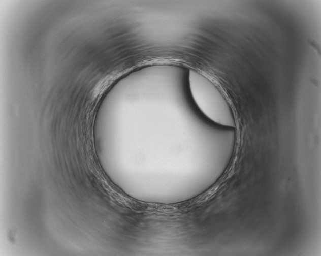 X0000102000337200807180853