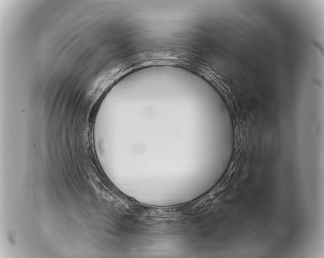 X0000102000338200807180853