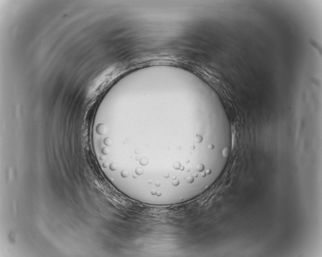 X0000102000339200807180853