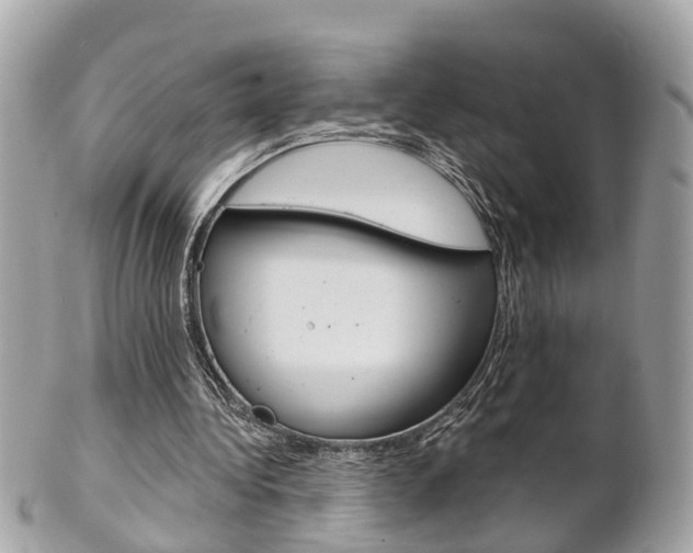 X0000102000340200807180853