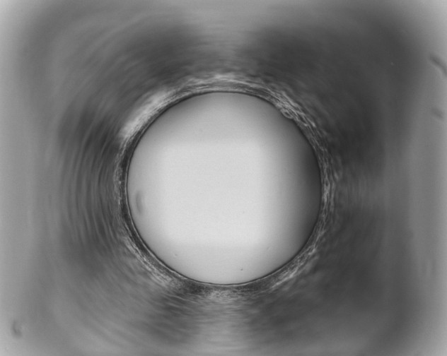 X0000102000341200807180853