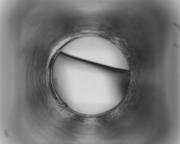 X0000102000342200807180853