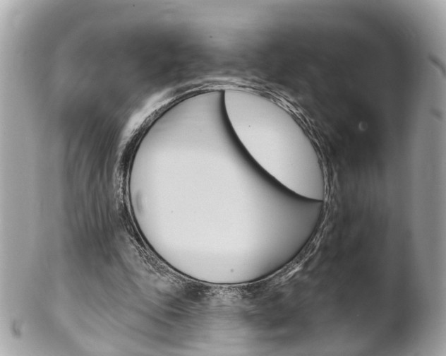 X0000102000343200807180853