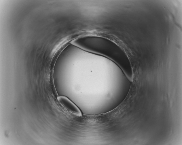 X0000102000344200807180853