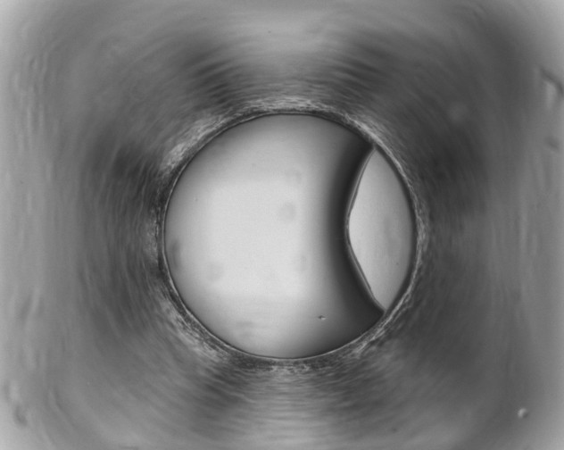 X0000102000345200807180853