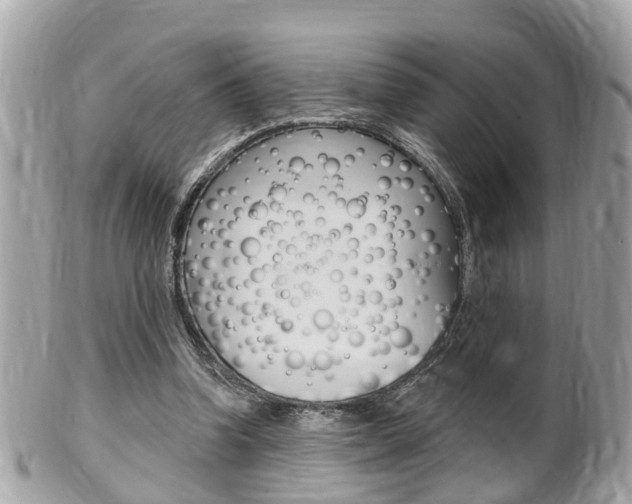 X0000102000346200807180853