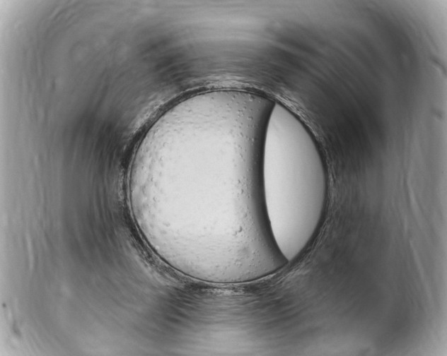 X0000102000347200807180853