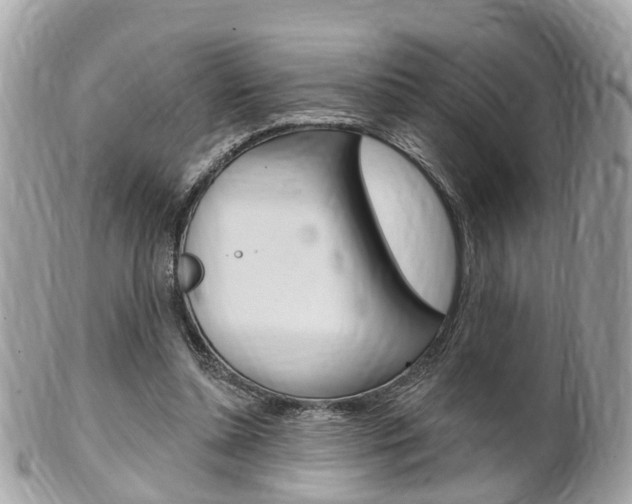 X0000102000348200807180853