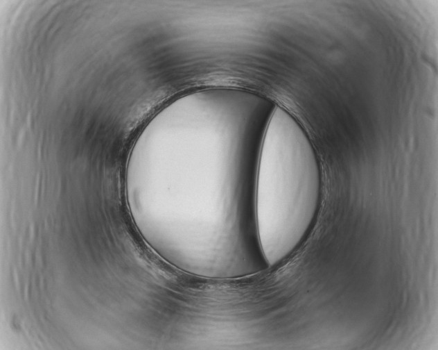 X0000102000349200807180853