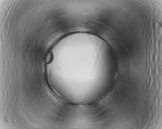 X0000102000350200807180853