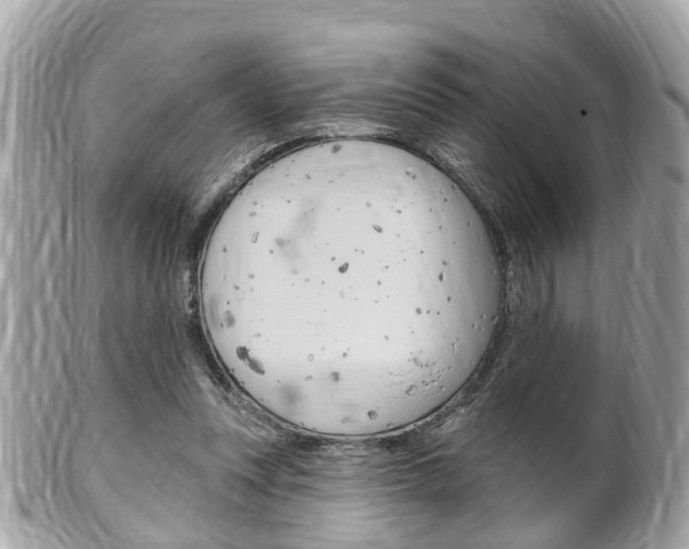 X0000102000351200807180853