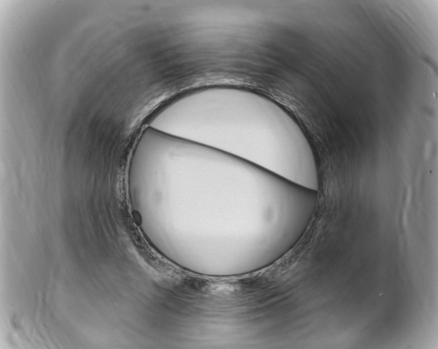 X0000102000352200807180853