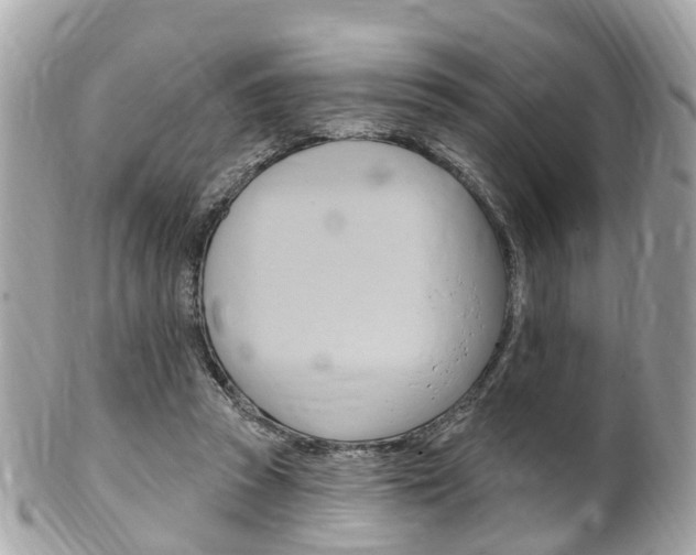 X0000102000353200807180853