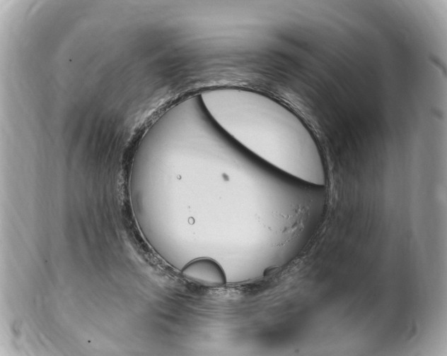 X0000102000354200807180853