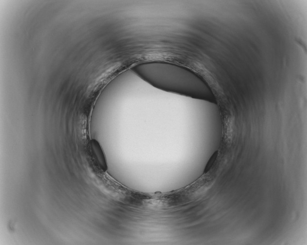 X0000102000356200807180853