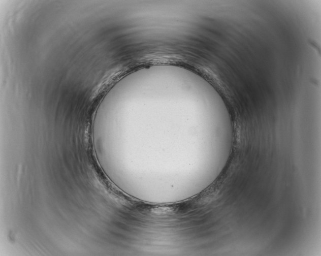 X0000102000357200807180853