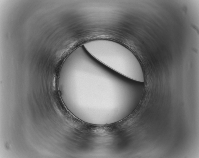 X0000102000358200807180853