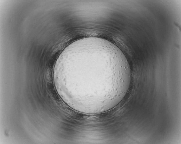 X0000102000359200807180853