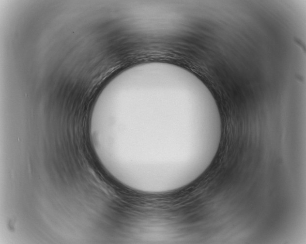 X0000102000360200807180853