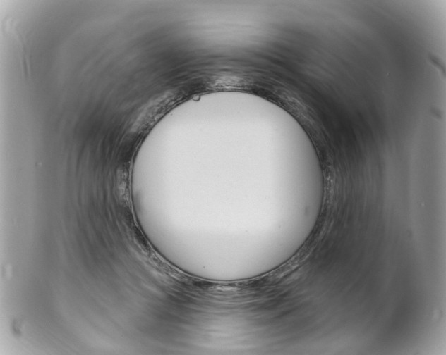 X0000102000361200807180853