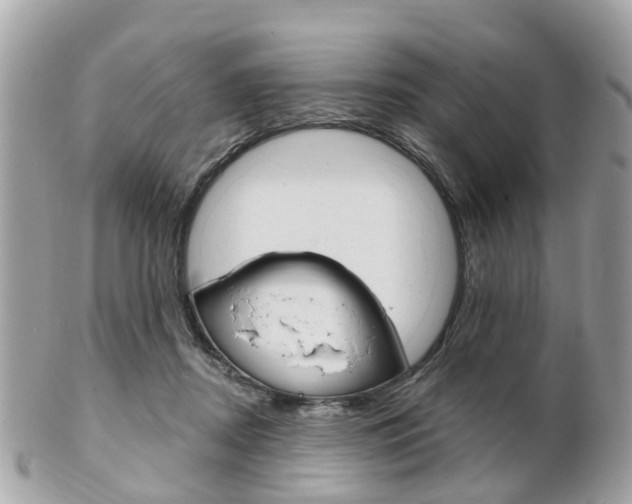 X0000102000362200807180853