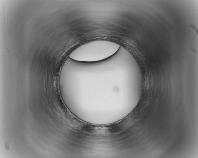 X0000102000363200807180853