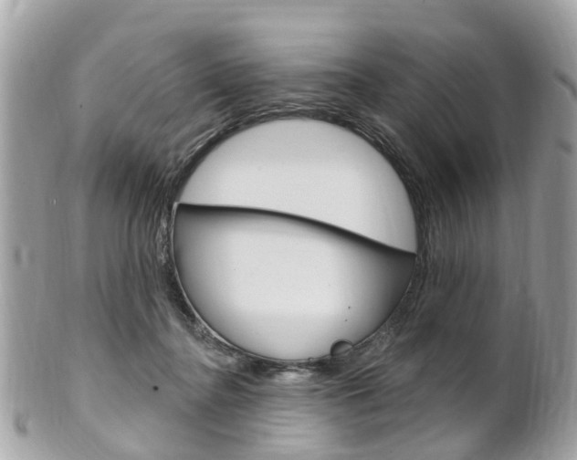 X0000102000364200807180853