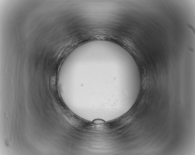 X0000102000365200807180853