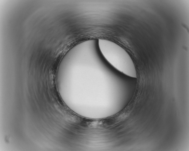 X0000102000366200807180853